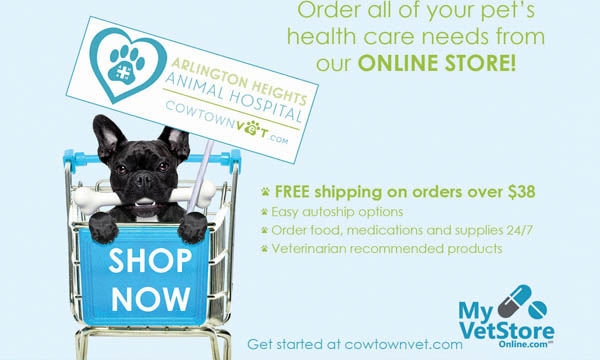 Veterinary Online Store