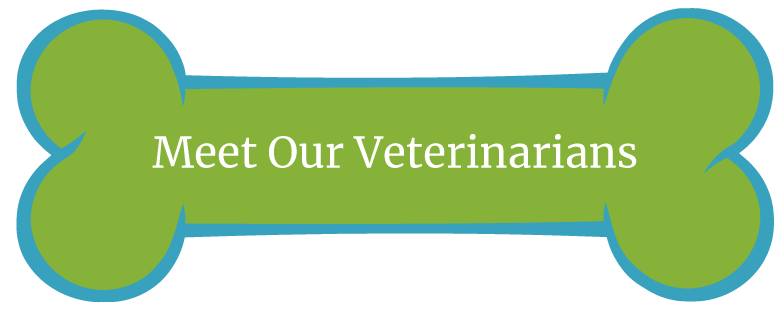 meet-veterinarians-btn