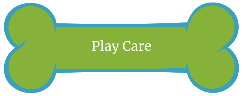 play-care-btn