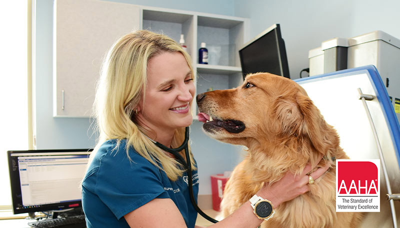 Local Vet in Fort Worth | Animal Hospital Serving All Pets