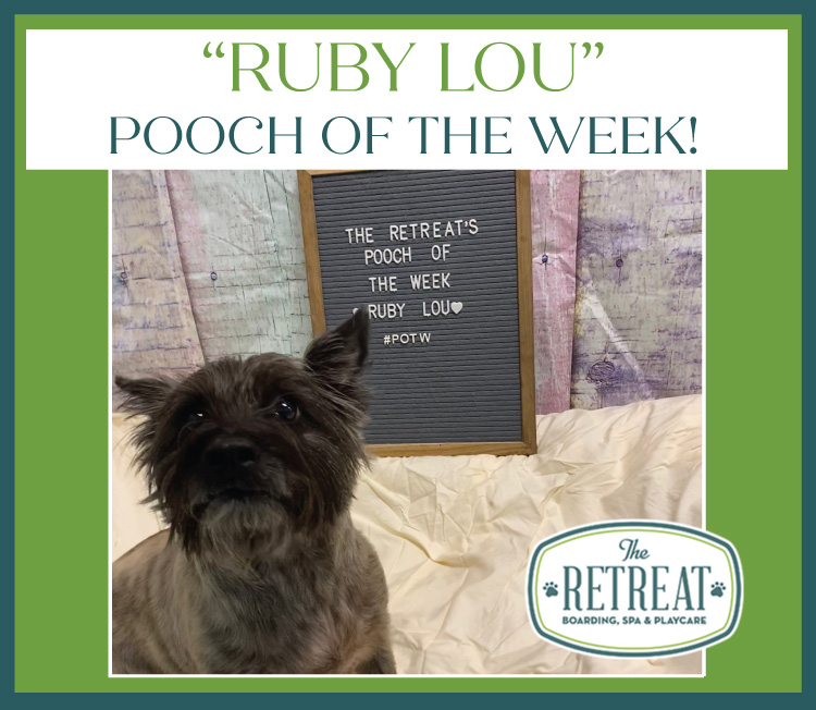 Meet Ruby Lou, Pooch of the Week